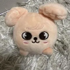 2026年最新】ミニバッグチャーム skzooの人気アイテム - メルカリ