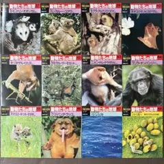 2026年最新】朝日百科 動物の人気アイテム - メルカリ