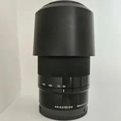 2026年最新】sony α55 レンズの人気アイテム - メルカリ