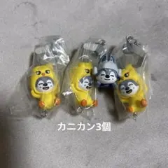 2026年最新】wolf chanの人気アイテム - メルカリ