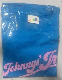 2026年最新】わっしょいCAMP tシャツ スカイブルーの人気アイテム