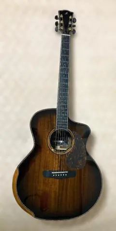 2026年最新】MERIDA ギターの人気アイテム - メルカリ