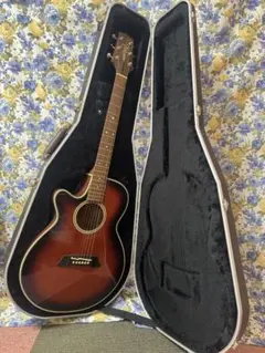 2026年最新】takamine pt 106の人気アイテム - メルカリ