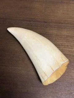 2026年最新】鯨工芸品の人気アイテム - メルカリ