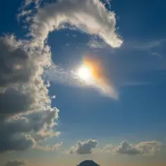 2026年最新】ロエベ カゴバッグ スクエアの人気アイテム - メルカリ