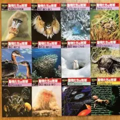 2026年最新】週刊朝日百科 動物たちの地球の人気アイテム - メルカリ