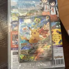 2026年最新】ポケットモンスター ピカチュウ 専用ダウンロードカードの