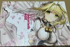 2026年最新】fate labyrinth boxの人気アイテム - メルカリ