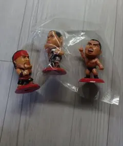 2026年最新】プロ格ヒーローズの人気アイテム - メルカリ