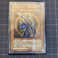 2026年最新】カオスソルジャー開闢の使者 レリーフ psaの人気アイテム