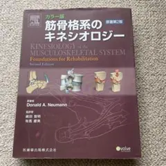 2026年最新】筋骨格系のキネシオロジーの人気アイテム - メルカリ