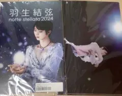 2026年最新】ノッテステラータ パンフレットの人気アイテム - メルカリ