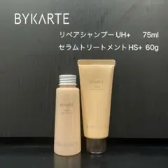 2026年最新】バイカルテ hsの人気アイテム - メルカリ