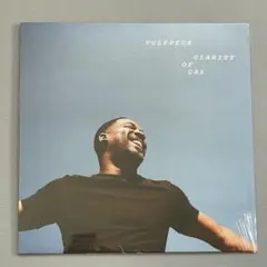 2026年最新】vulfpeck レコードの人気アイテム - メルカリ