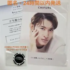 2026年最新】向井康二 ちふれの人気アイテム - メルカリ