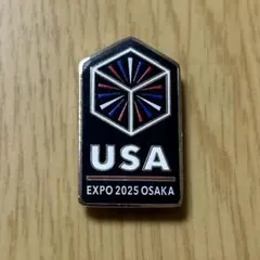 2026年最新】アメリカパビリオンピンバッジの人気アイテム - メルカリ