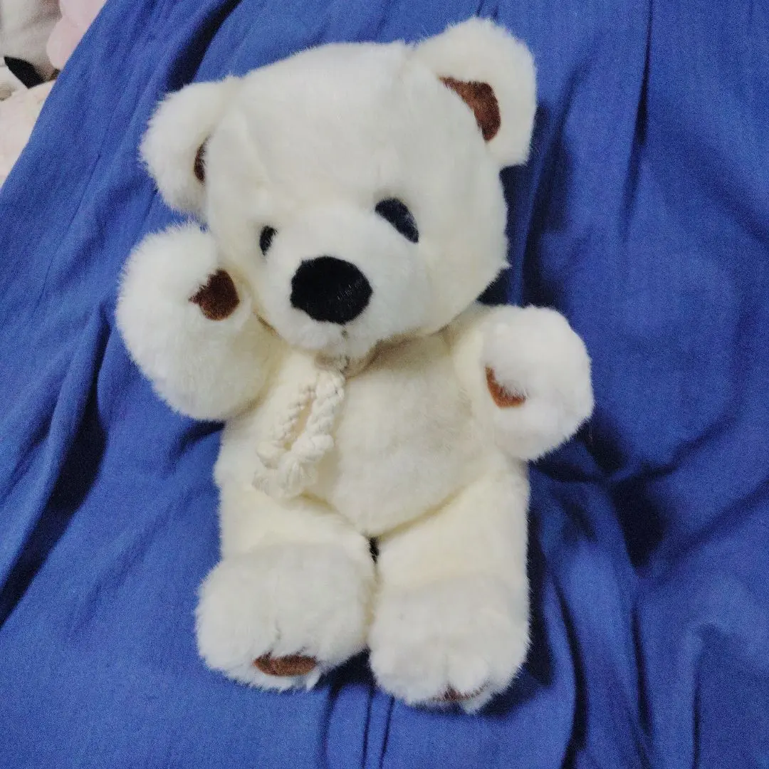 2026年最新】FIRST社こぐまのファンファンの人気アイテム - メルカリ