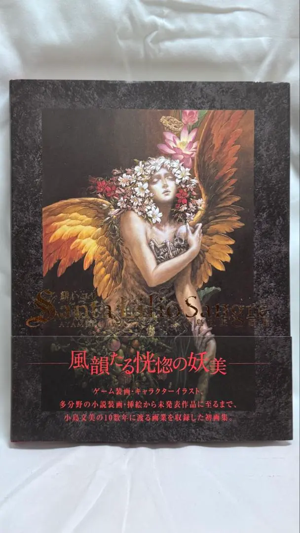 2026年最新】緋いユリ 小島文美画集の人気アイテム - メルカリ