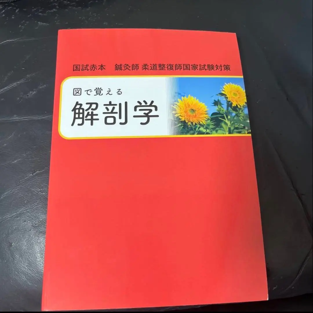 2026年最新】柔整参考書の人気アイテム - メルカリ