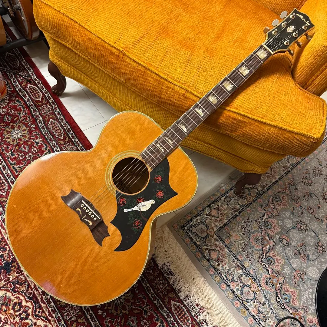 2026年最新】morales アコギの人気アイテム - メルカリ