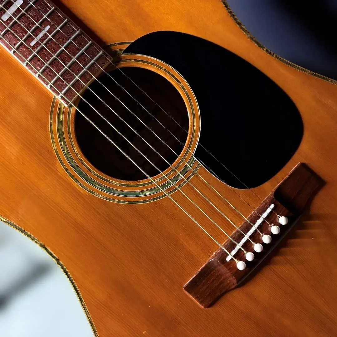 2026年最新】木曽鈴木ギターの人気アイテム - メルカリ