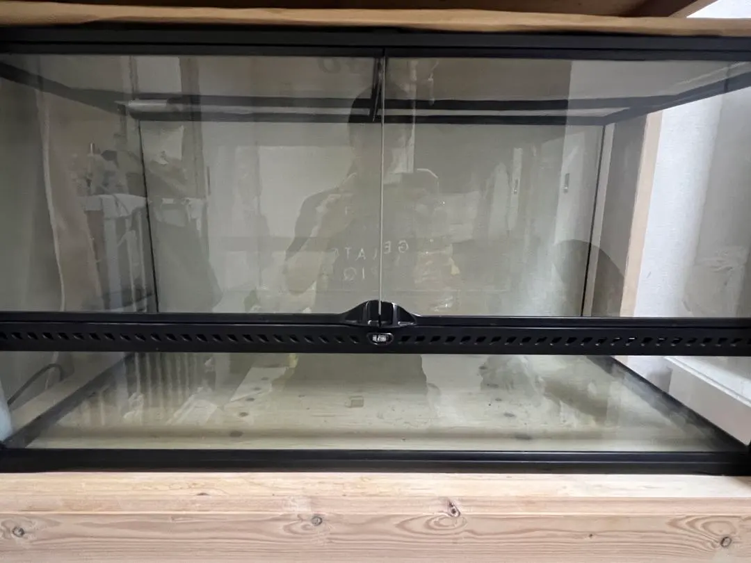 2026年最新】グラステラリウム9045の人気アイテム - メルカリ