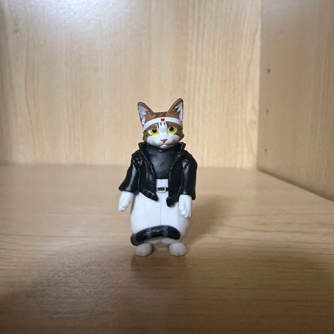 2026年最新】なめ猫 ぬいぐるみの人気アイテム - メルカリ