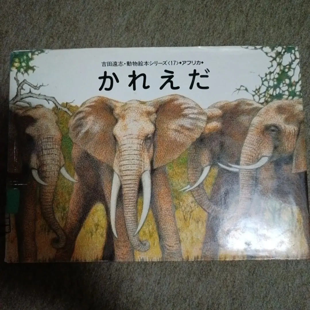 2026年最新】吉田遠志 動物絵本シリーズ?アフリカの人気アイテム