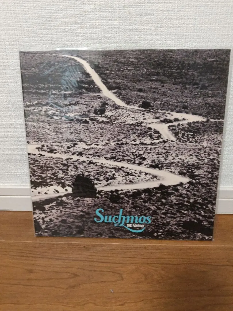 2026年最新】suchmos レコード ashtrayの人気アイテム - メルカリ