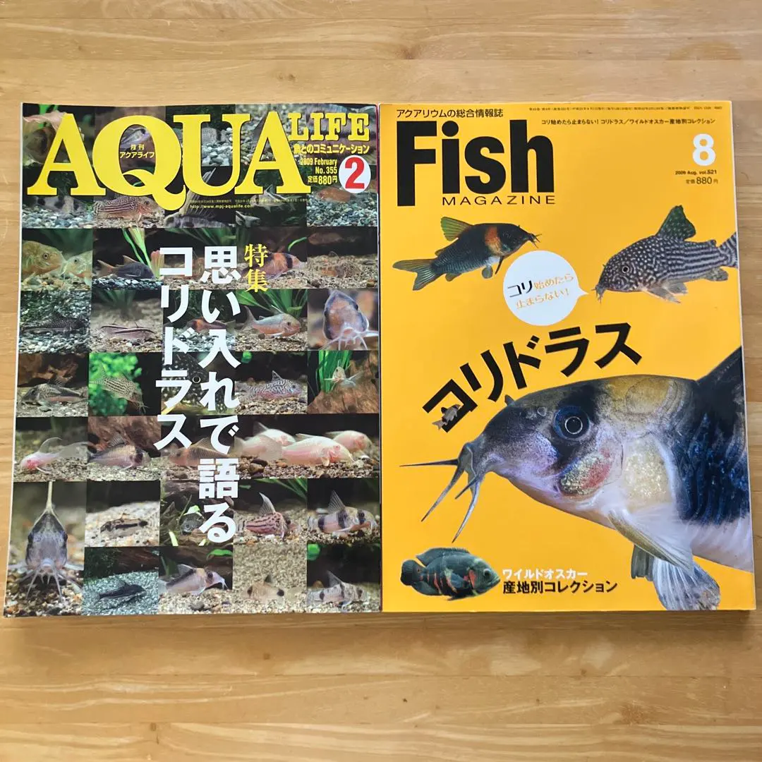 2026年最新】アクアマガジンの人気アイテム - メルカリ