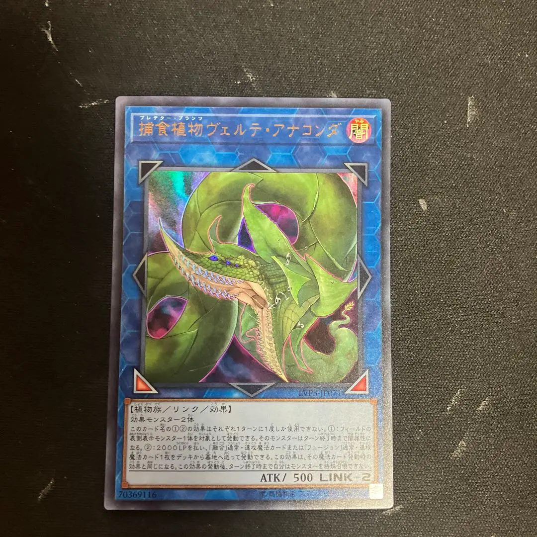 2026年最新】捕食植物ヴェルテ・アナコンダ シークレットの人気