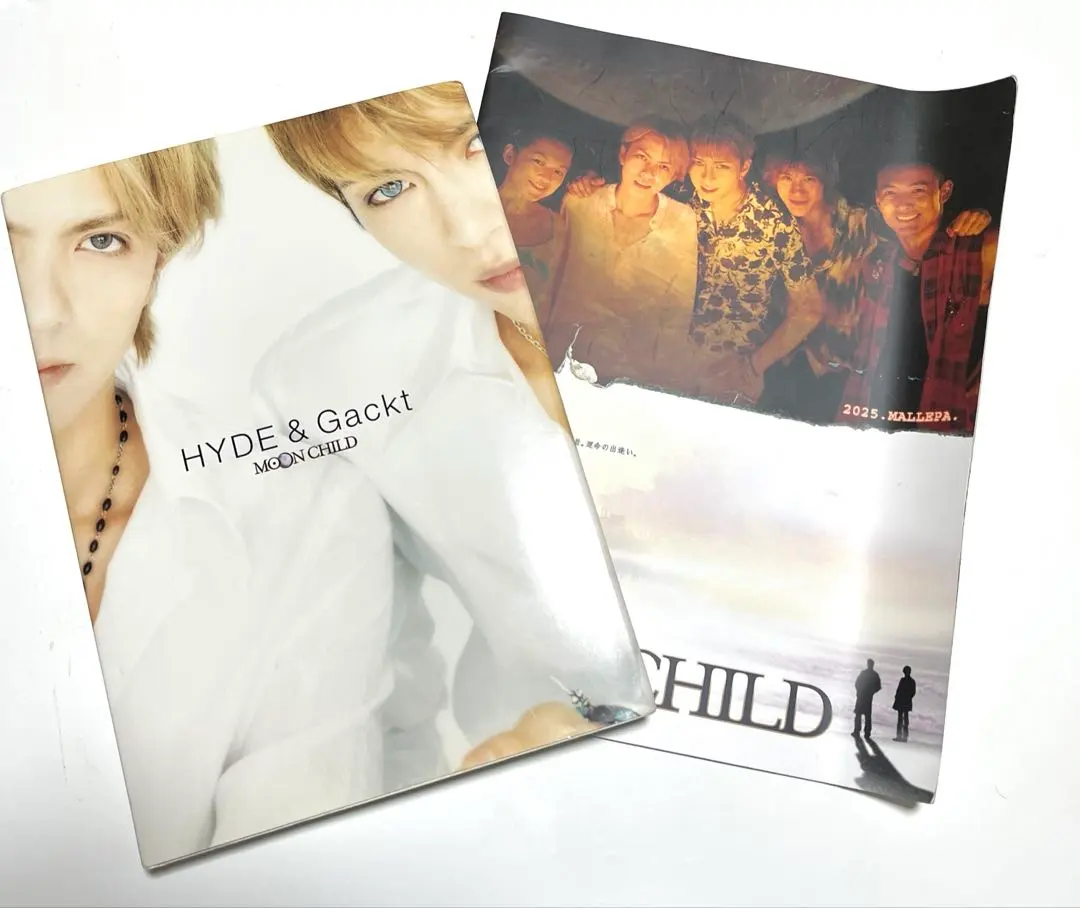 2026年最新】hyde gackt 写真集の人気アイテム - メルカリ
