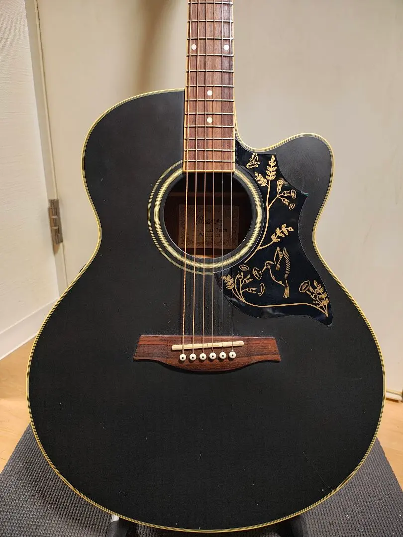 2026年最新】Ibanez アコースティックギターの人気アイテム - メルカリ