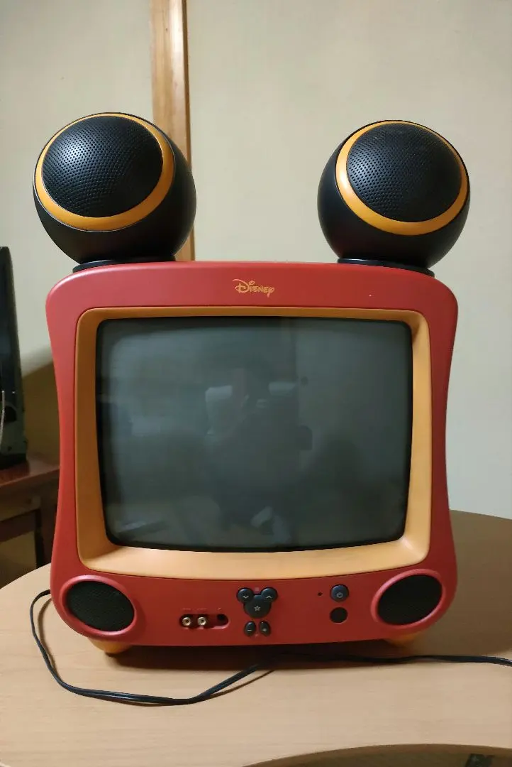 2026年最新】Disney ブラウン管テレビ・テレビデオの人気アイテム