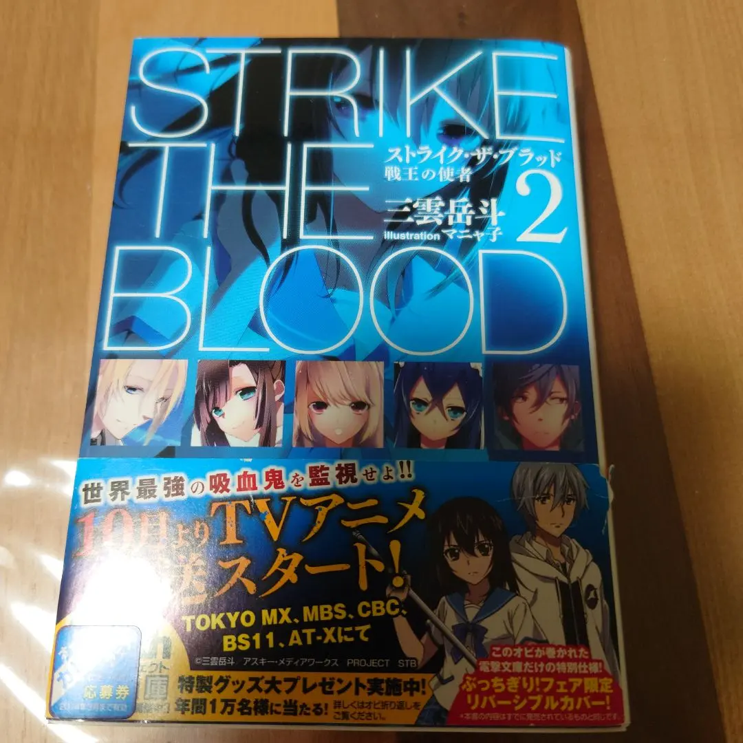 2026年最新】ストライク・ザ・ブラッド10 冥き神王の花嫁の人気