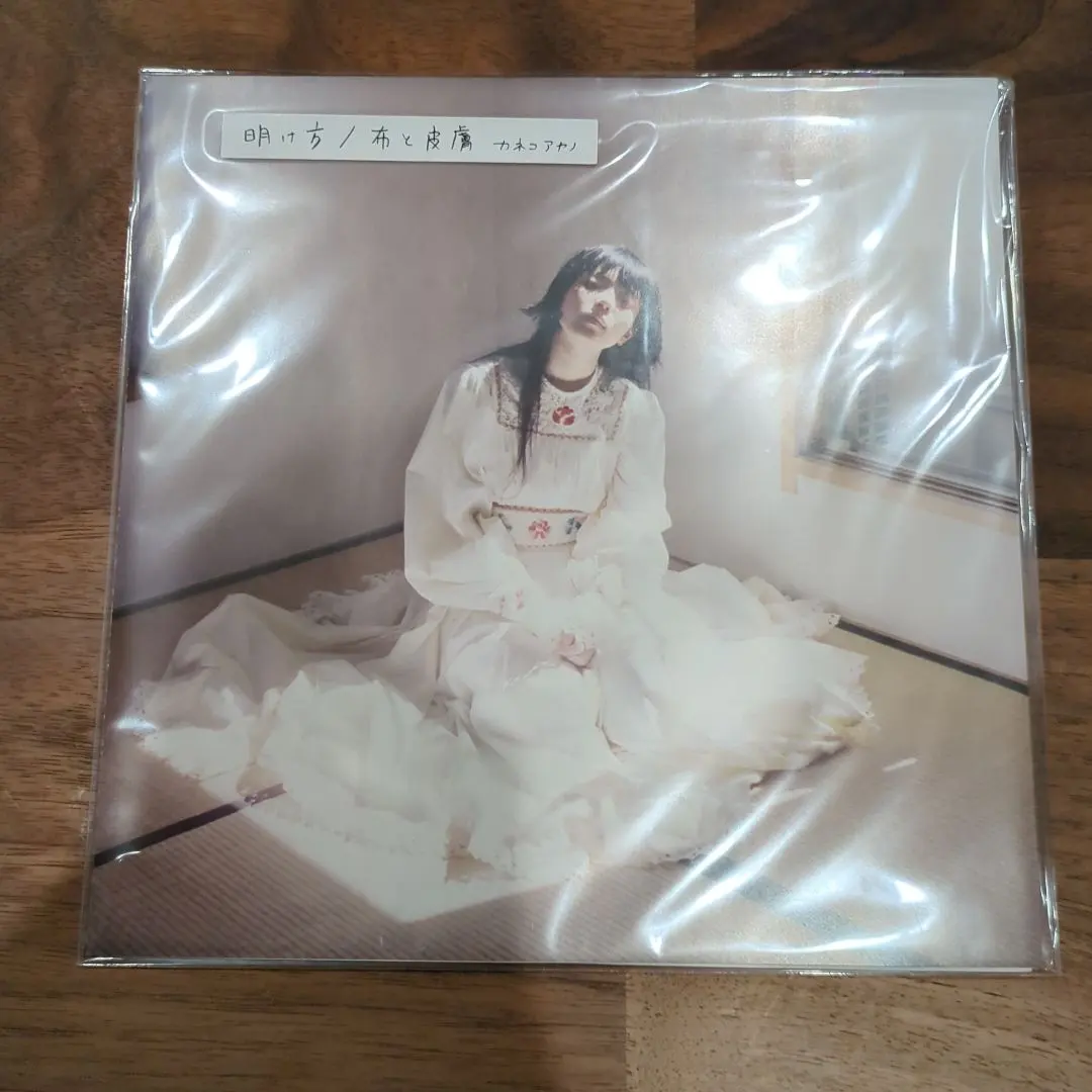 2026年最新】カネコアヤノ 野音 レコードの人気アイテム - メルカリ