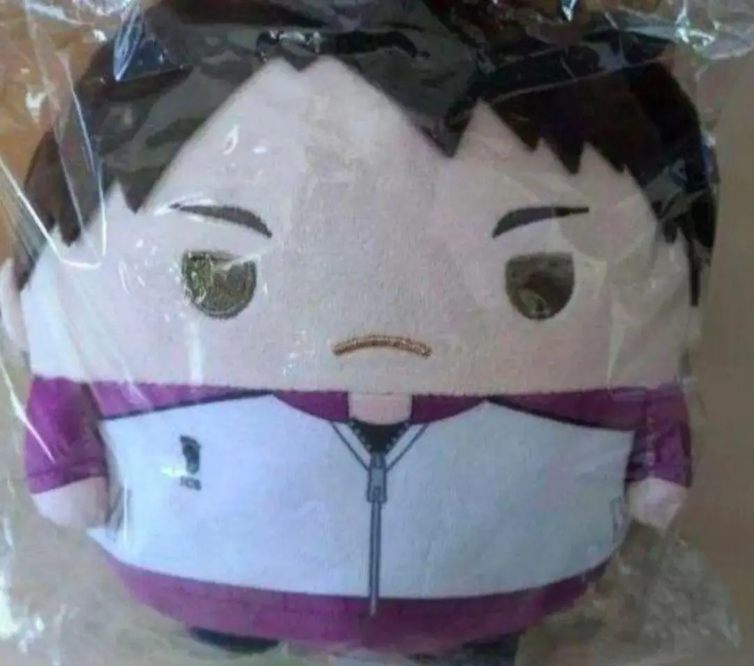 2026年最新】牛島若利 ふわコロりんの人気アイテム - メルカリ