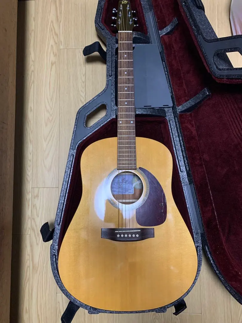 2026年最新】シーガル ギターの人気アイテム - メルカリ