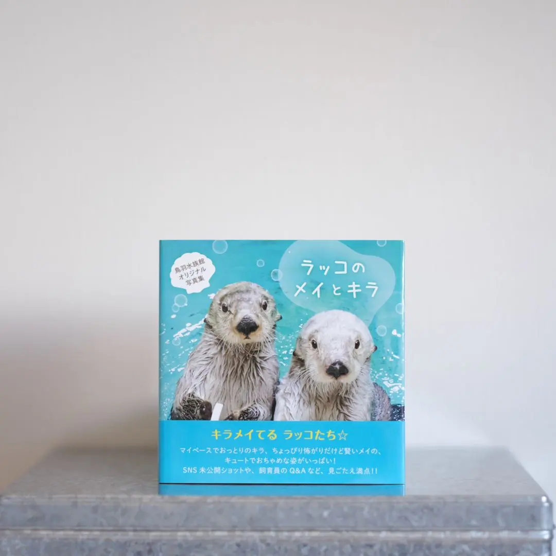 2026年最新】ラッコのメイとキラ 写真集の人気アイテム - メルカリ