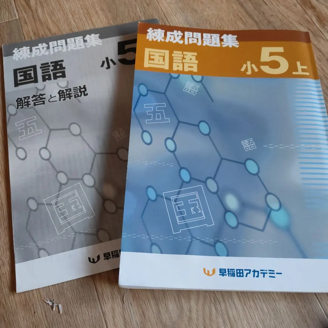 2026年最新】錬成問題集 小5 国語の人気アイテム - メルカリ