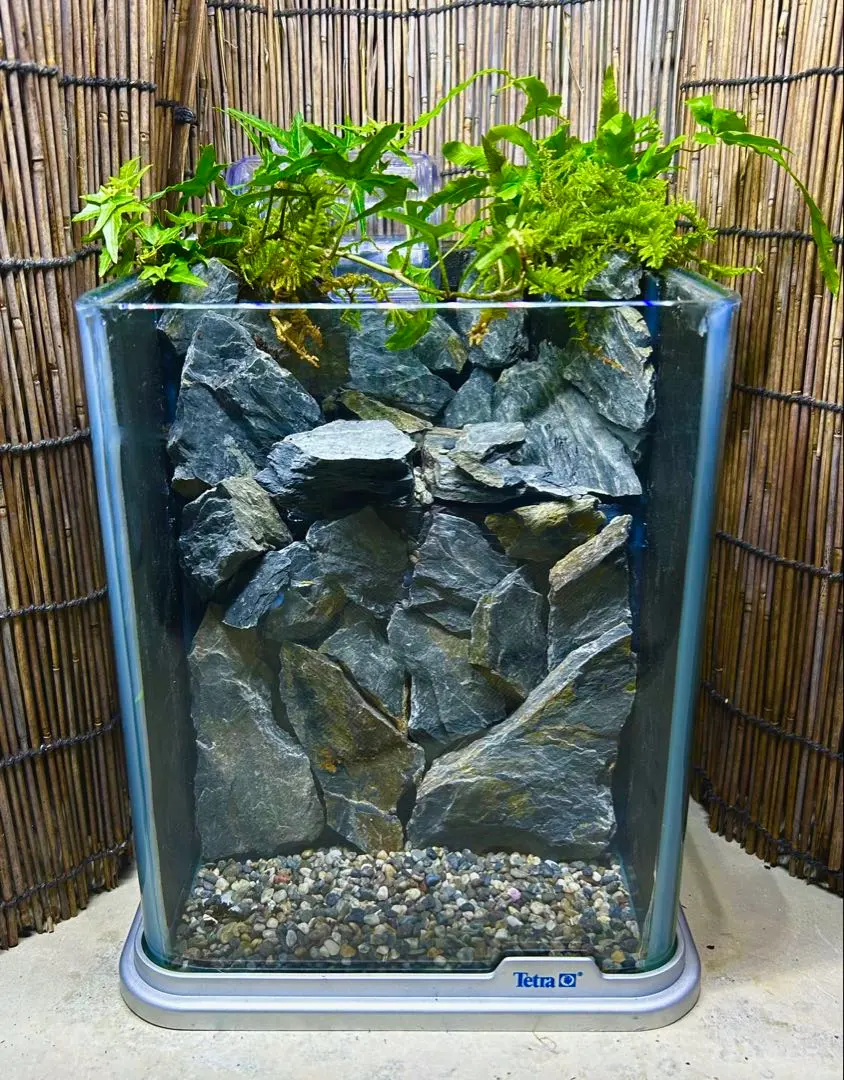 2026年最新】アクアテラリウム 滝の人気アイテム - メルカリ