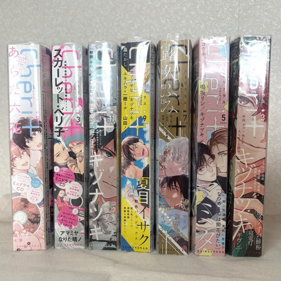 2026年最新】シェリプラス ピンナップの人気アイテム - メルカリ