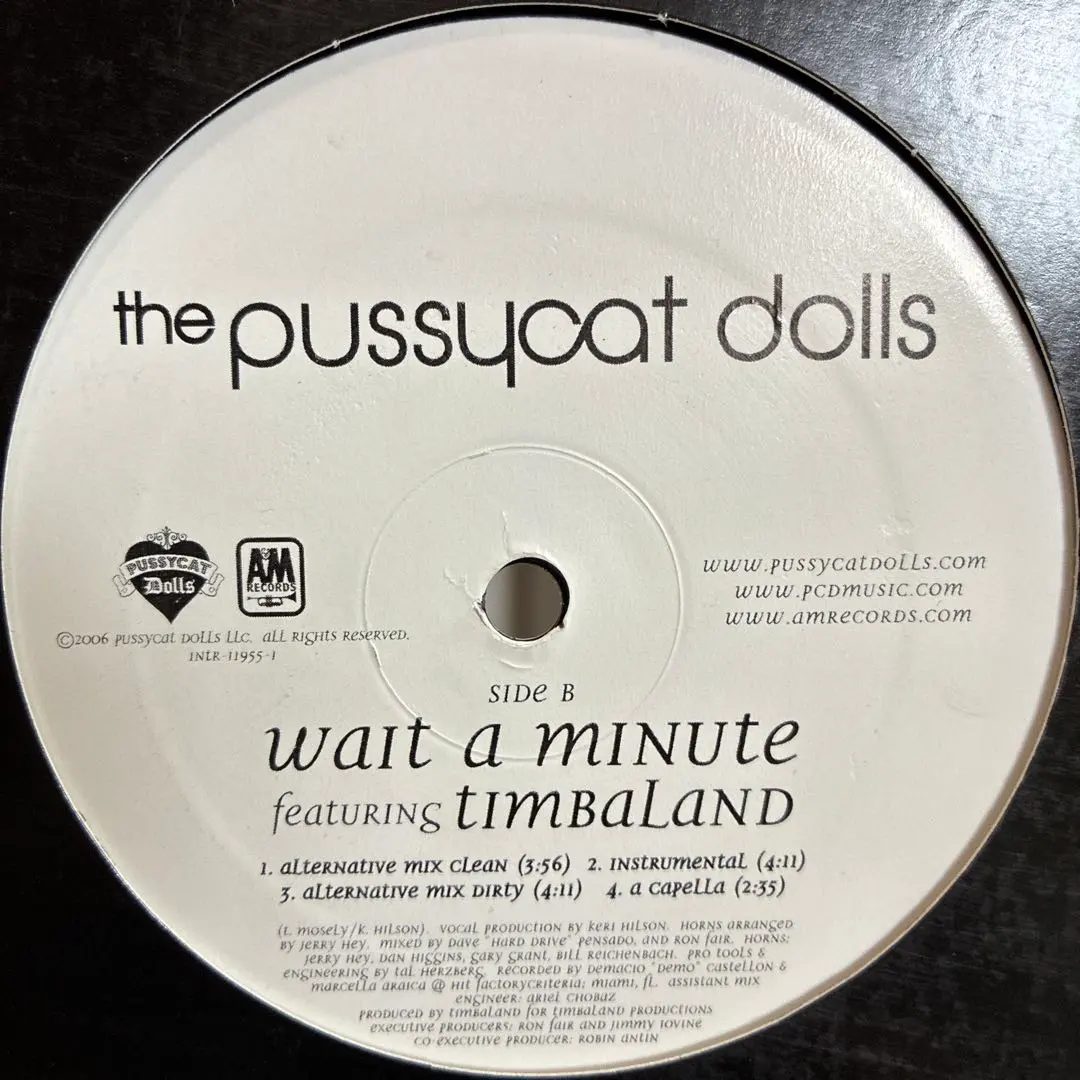 2026年最新】pussycat dolls レコードの人気アイテム - メルカリ