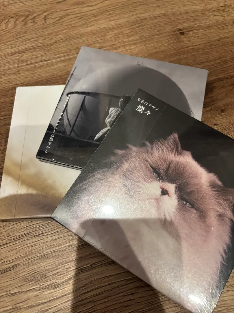 2026年最新】踊ってばかりの国 lpの人気アイテム - メルカリ