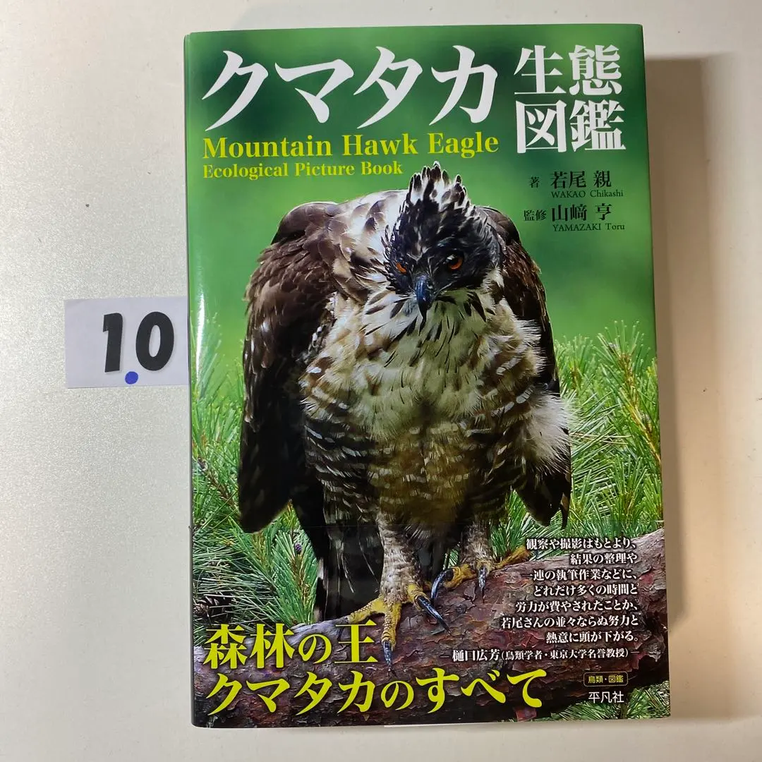 2026年最新】クマタカ生態図鑑の人気アイテム - メルカリ