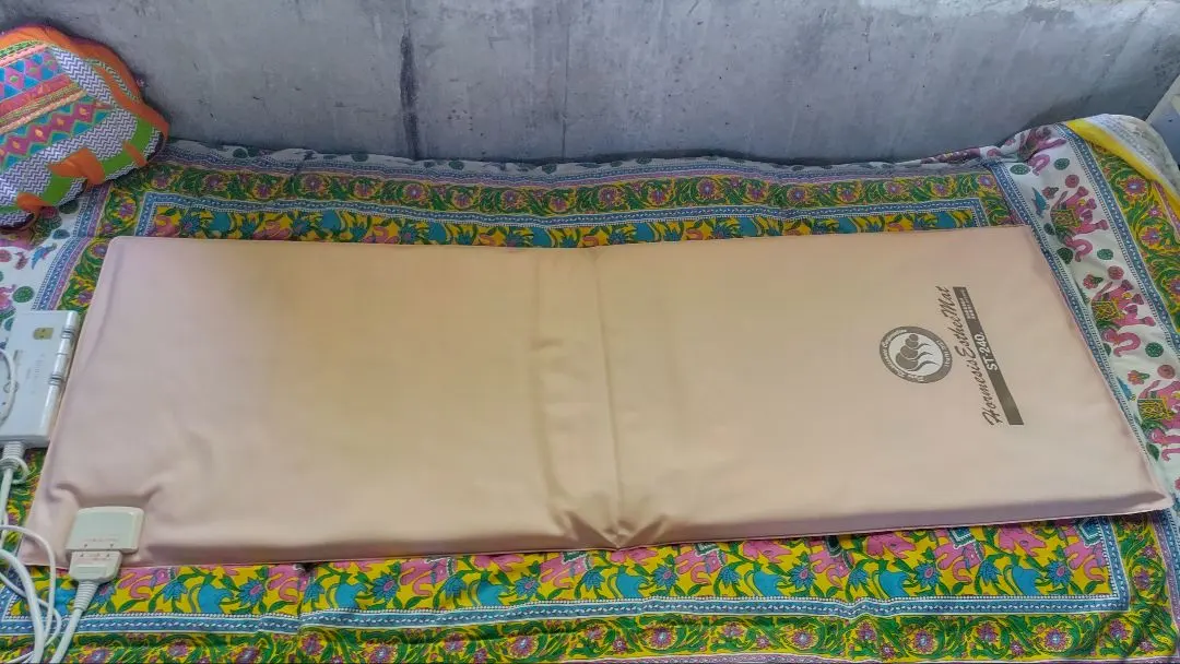 2026年最新】ホルミシスマットの人気アイテム - メルカリ