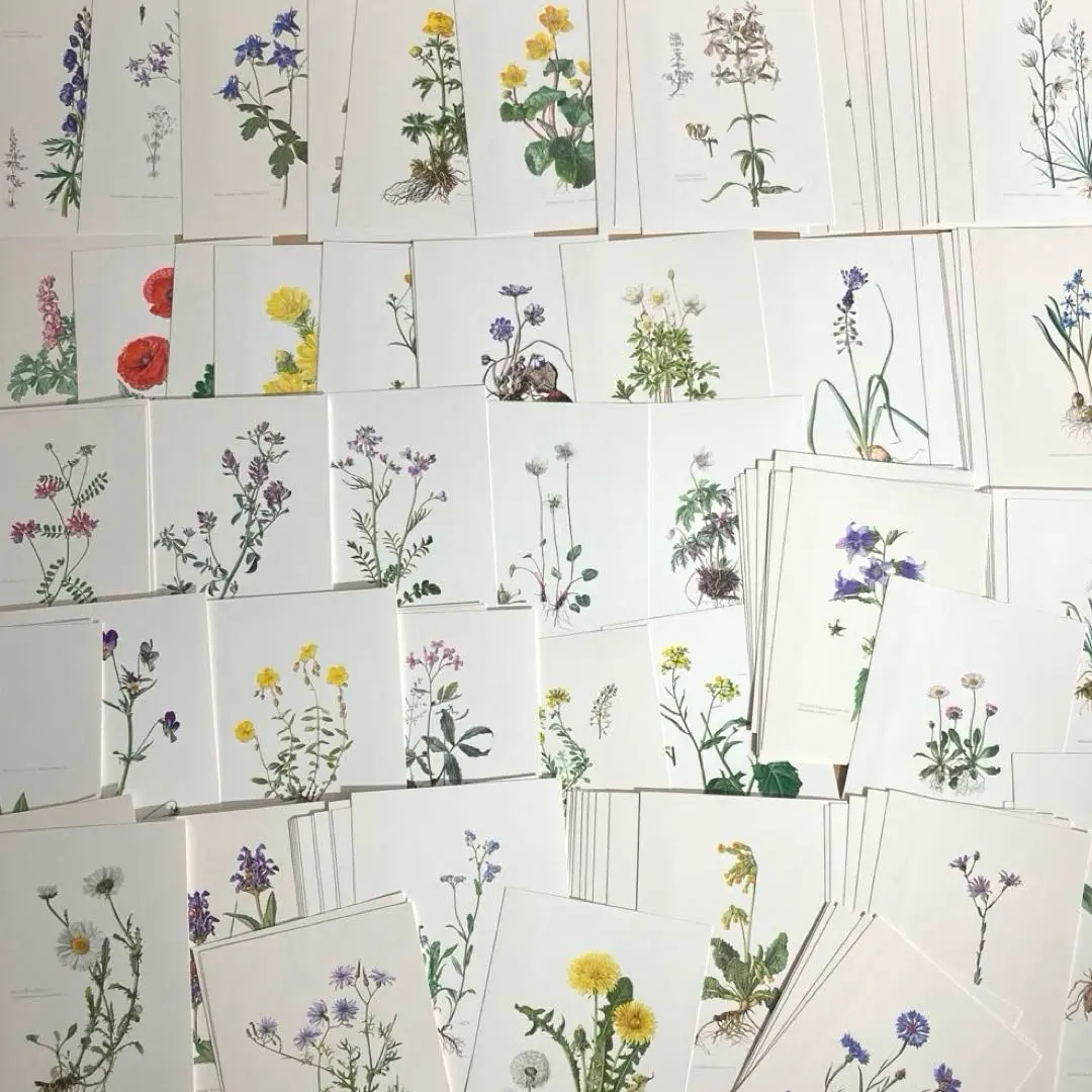 2026年最新】elsa felskoの人気アイテム - メルカリ