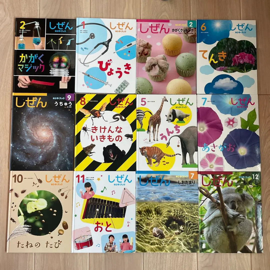 2026年最新】キンダーブック しぜん もちの人気アイテム - メルカリ