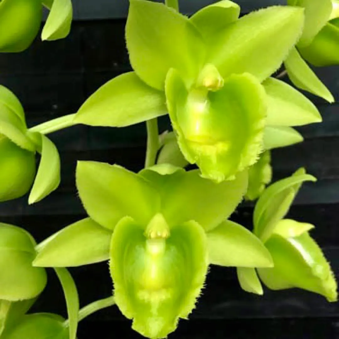 2026年最新】カタセタムの人気アイテム - メルカリ