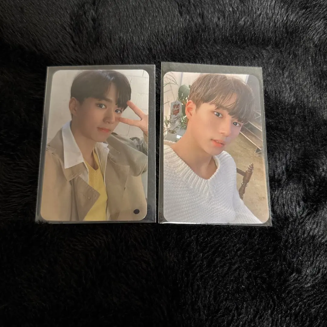 2026年最新】1the9 ジュンソの人気アイテム - メルカリ